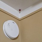 ​This plastic red ball with a collar is coming through the ceiling in the corner of my bedroom. It’s about a half inch in diameter. Any thoughts?