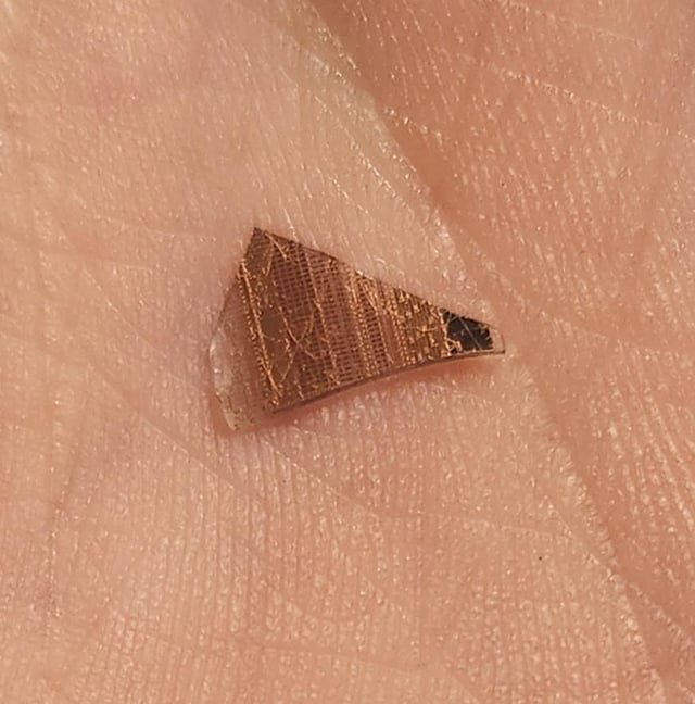 ​Keep finding tiny pieces like this on the floor. It’s hard and sharp, and I can’t figure out where they came from. They’ve got brown and black stripes. What’s it from?