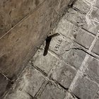 ​Found multiple metal pins set into the ground on a Barcelona street — what are they?