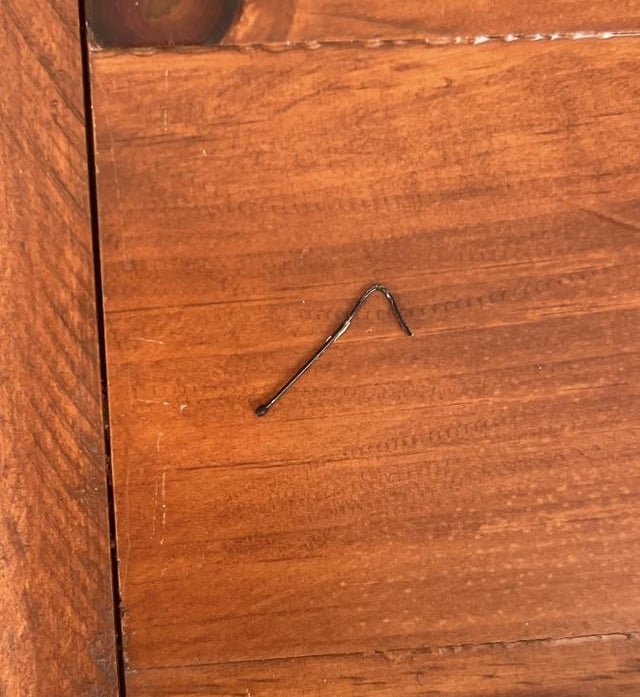 My cats collected about 100 of these in my apartment? Small, very thin and flimsy black hooks made of plastic. A little larger than a quarter in length, with a ball at the end.
