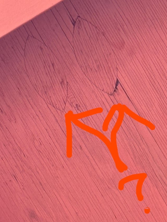 ​This football shape is on the plywood on my patio ceiling.