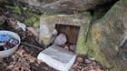 ​Concrete box in the back of a shallow cave near the ramains of an old farmhouse in Eastern Ontario
