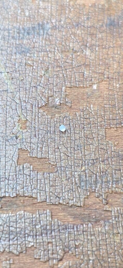 ​These little tiny balls are falling from the sky, they’re not melting or breaking open. About the size of a grain of salt, perfectly round, cleariah blue in color. I break them open and they’re liquid. Pittsburgh, PA area. Looks like silicone desiccant pack filling.