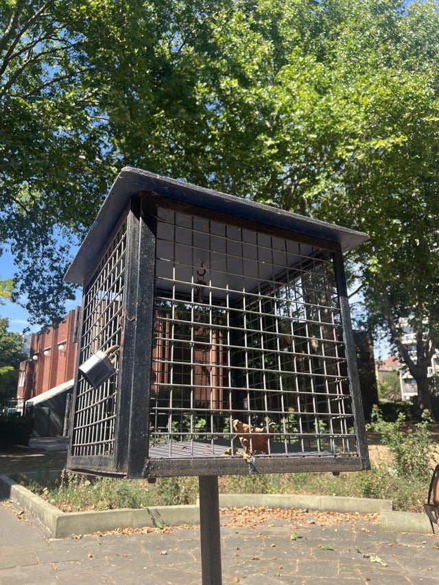 ​Black metal cage locked by a padlock, with keys dangling in the middle. Found in center of park in London
